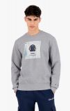 Champion Icon Graphic Print Organic Cotton Sweatsh