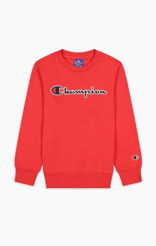 Champion Script Logo Cotton Fleece Hoodie RED