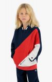 Champion Asymmetric Colour Block Cotton Fleece Hoo