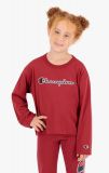 Champion Script Logo Long Sleeve Tee BURGUNDY