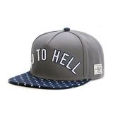 Cayler & Sons ® WL Go To Hell-NAVY/GREY