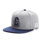 Cayler & Sons ® WL Frat Boy Cap GREY