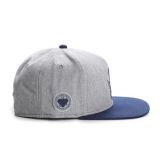 Cayler & Sons ® WL Frat Boy Cap GREY