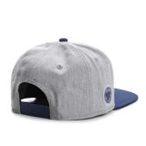 Cayler & Sons ® WL Frat Boy Cap GREY