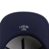 Cayler & Sons ® WL Frat Boy Cap GREY