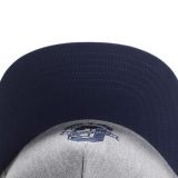 Cayler & Sons ® WL Frat Boy Cap GREY