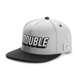 Cayler & Sons ® WL Trouble Cap GREY