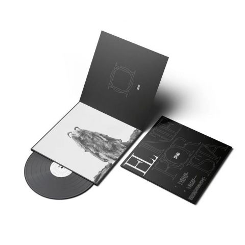 Disco Vinilo ¨el interiorista¨ Bejo