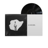 Disco Vinilo ¨el interiorista¨ Bejo