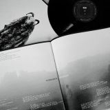 Disco Vinilo ¨el interiorista¨ Bejo