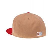 New Era Asheville Tourists Winter Metallic Two 