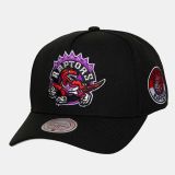 Mitchell & Ness NBA Double Clutch Pro RAPTORS