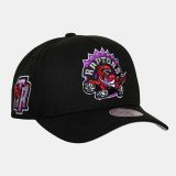 Mitchell & Ness NBA Double Clutch Pro RAPTORS