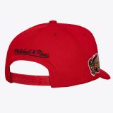 Mitchell & Ness NBA Double Clutch Pro BULLS