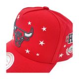 Mitchell & Ness NBA Pep Rally Pro TORONTO RAPTORS