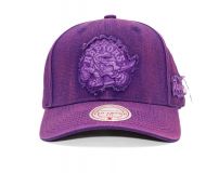 Mitchell & Ness NBA Downtown Pro Snapback RAPTORS