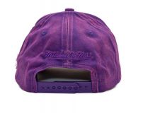 Mitchell & Ness NBA Downtown Pro Snapback RAPTORS