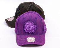 Mitchell & Ness NBA Downtown Pro Snapback RAPTORS