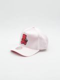 Pro Pinch Hit By Love Toronto Raptors Snapback PIN