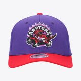 Mitchell & Ness NBA Team 2 Tone 2.0 Stretc Raptors
