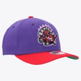 Mitchell & Ness NBA Team 2 Tone 2.0 Stretc Raptors