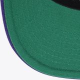 Mitchell & Ness Milwaukee Bucks 2 Tone - VERDE 