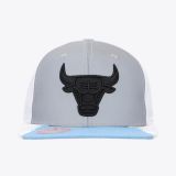 Mitchell & Ness Chicago Bulls Day 5 - BLANCO
