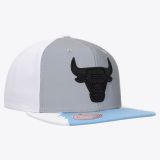 Mitchell & Ness Chicago Bulls Day 5 - BLANCO