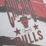 M&N Chicago Bulls Paintbrush Sublimated - WHITE