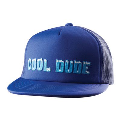 Emerica HSU Cool Dude Trucker Hat BLUE