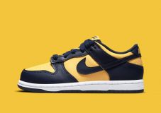 Nike Dunk Low Retro Michigan (2021)