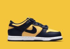 Nike Dunk Low Retro Michigan (2021)