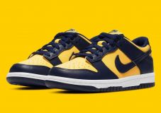 Nike Dunk Low Retro Michigan (2021)