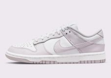 Nike Dunk Low VENICE (W)