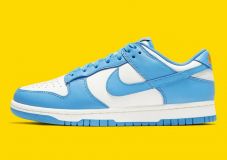 Nike Dunk Low ¨Coast¨ 2021 (W) 