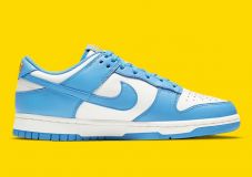 Nike Dunk Low ¨Coast¨ 2021 (W) 