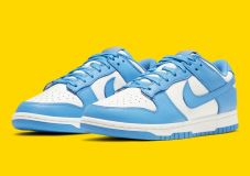 Nike Dunk Low ¨Coast¨ 2021 (W) 