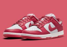 Nike Dunk Low WHITE/ARCHAEO PINK  (2021) W