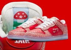 Nike SB Dunk Low Stingwater ¨Magic Mushroom¨