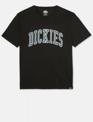 Dickies Aitkin Tee BLACK