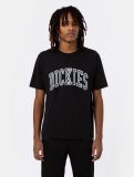 Dickies Aitkin Tee BLACK