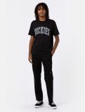 Dickies Aitkin Tee BLACK