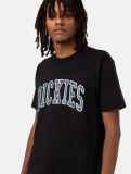 Dickies Aitkin Tee BLACK