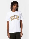 Dickies Aitkin Tee WHITE/HONNEY GOLD