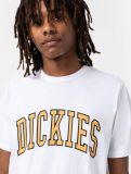 Dickies Aitkin Tee WHITE/HONNEY GOLD