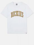 Dickies Aitkin Tee WHITE/HONNEY GOLD