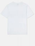 Dickies Aitkin Tee WHITE/HONNEY GOLD