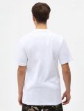 Dickies Loretto Tee WHITE