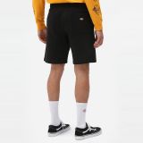Dickies ® Champlin Shorts - BLACK