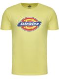 Dickies Icon Logo Tee LIME